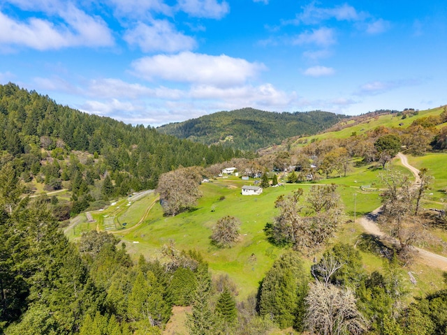 8686 Bell Springs Rd, Garberville, CA 95542 - view of mountain backdrop with a heavily wooded area