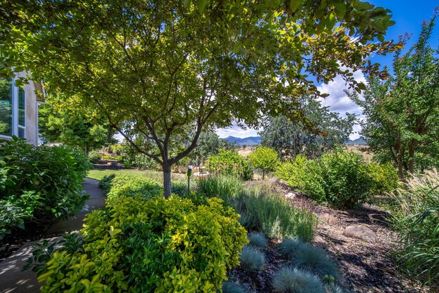 831 Santa Cruz Dr, Redding, CA 96003 - view of yard featuring a mountain view