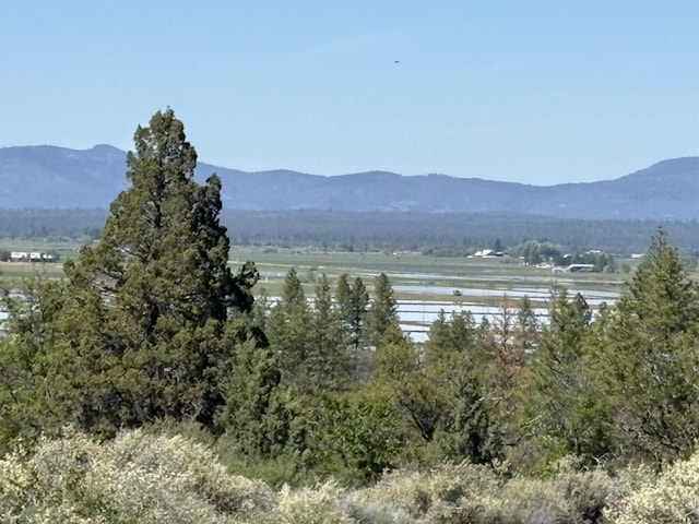 000 Gomez Rd, Fall River Mills, CA 96028