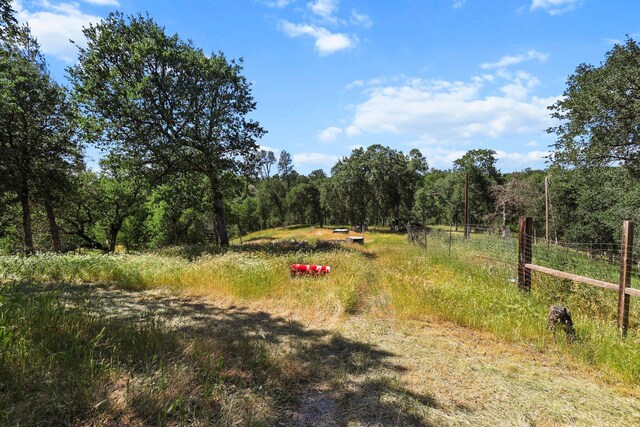 16512 Bo Ln, Cottonwood, CA 96022 - photo 19