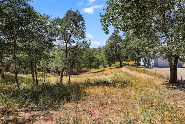 16512 Bo Ln, Cottonwood, CA 96022 - photo 4