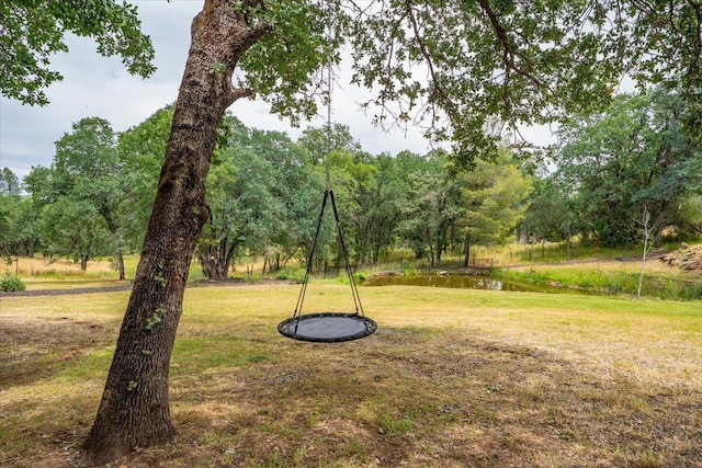 19697 Old Indian Trl, Redding, CA 96003 - view of green lawn
