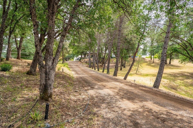 19697 Old Indian Trl, Redding, CA 96003 - view of dirt / gravel road