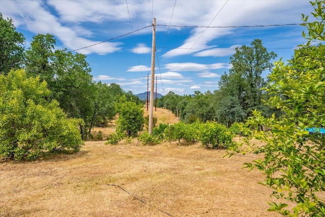 19697 Old Indian Trl, Redding, CA 96003 - view of undeveloped land