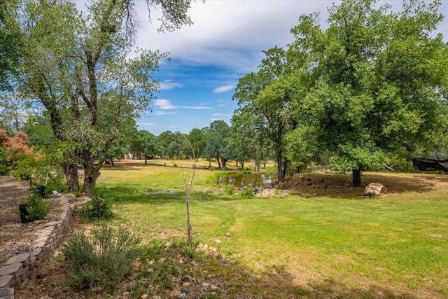 19697 Old Indian Trl, Redding, CA 96003 - view of grassy yard