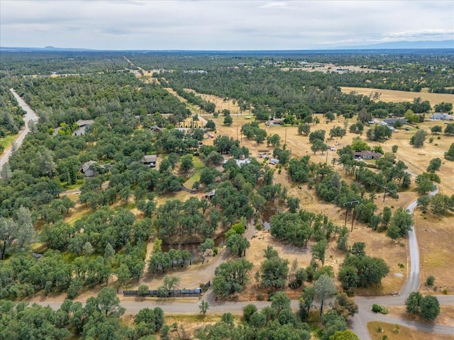 19697 Old Indian Trl, Redding, CA 96003 - aerial view of a forest
