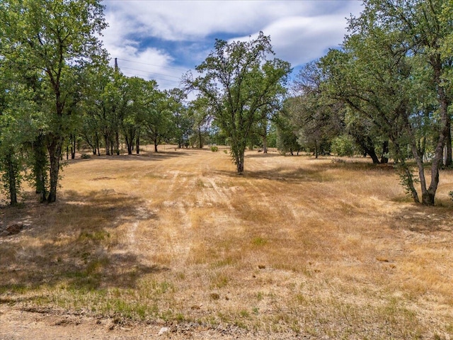 19697 Old Indian Trl, Redding, CA 96003 - view of undeveloped land featuring rural landscape