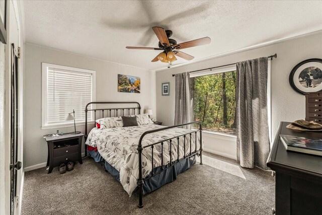 21375 Main St, Lakehead, CA 96051 - photo 3