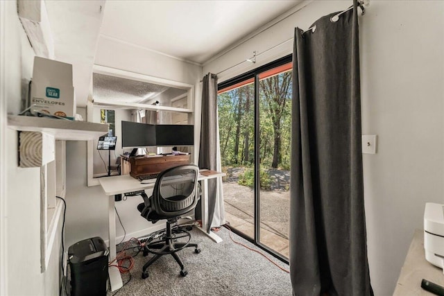 21375 Main St, Lakehead, CA 96051 - photo 7