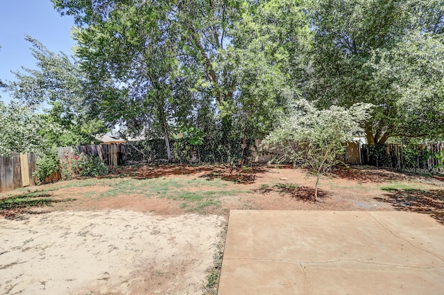 fenced backyard featuring a patio