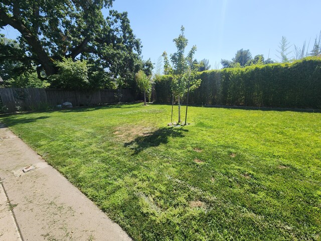 3621 Sacramento Dr, Redding, CA 96001 - view of yard