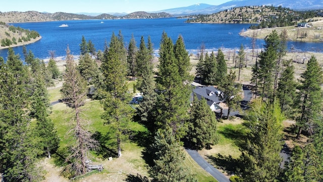 17917 Lakeshore Dr, Weed, CA 96094 - drone / aerial view of a water and mountain view