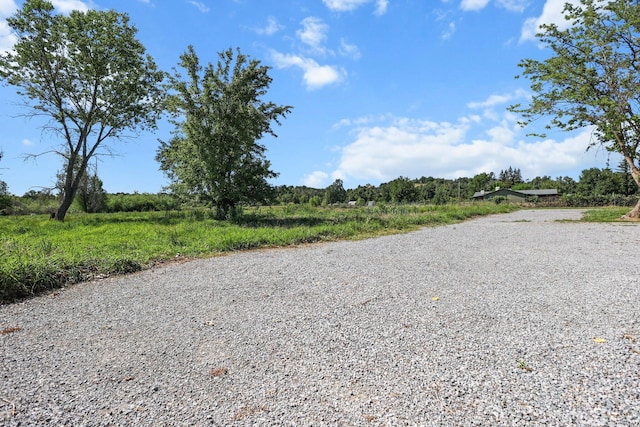 view of dirt / gravel road