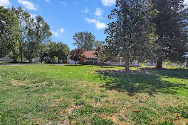 view of green lawn
