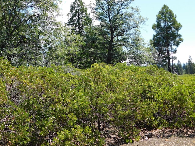 LOT67 La Jolla Way, Shingletown, CA 96088