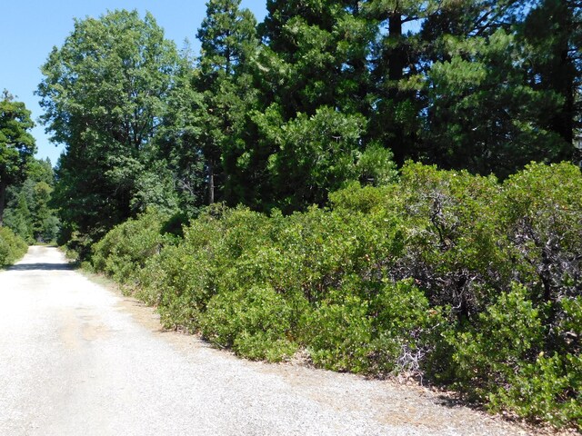 LOT67 La Jolla Way, Shingletown, CA 96088