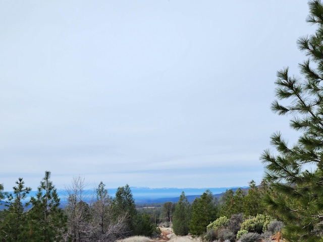 LOT01 Woodcutters Way, Manton, CA 96059