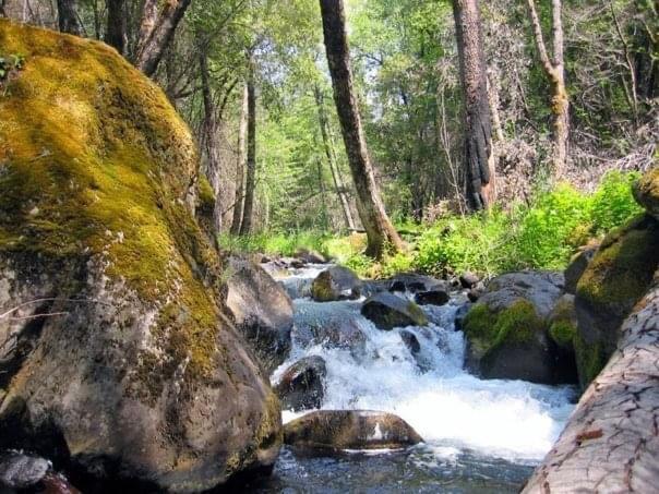 LOT01 Woodcutters Way, Manton, CA 96059