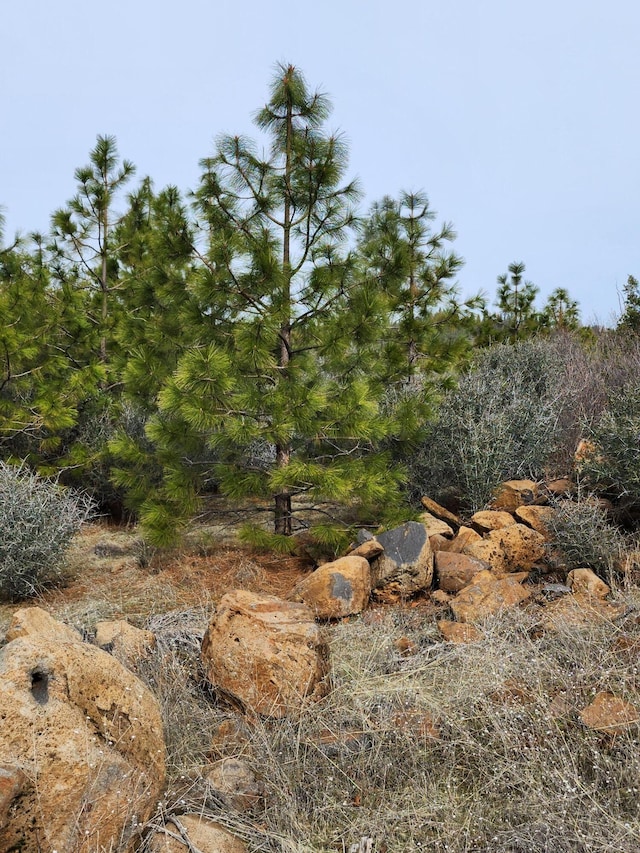 LOT01 Woodcutters Way, Manton, CA 96059