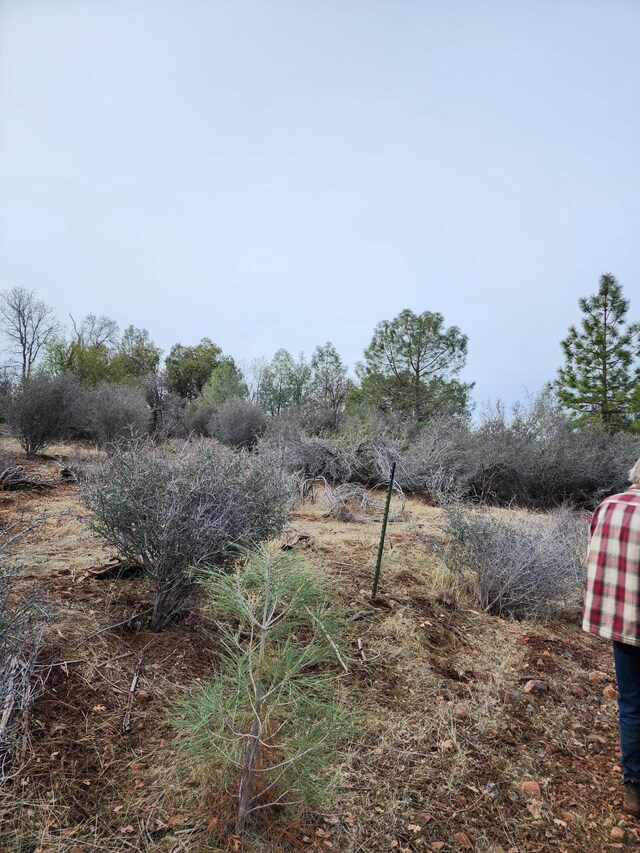 LOT01 Woodcutters Way, Manton, CA 96059