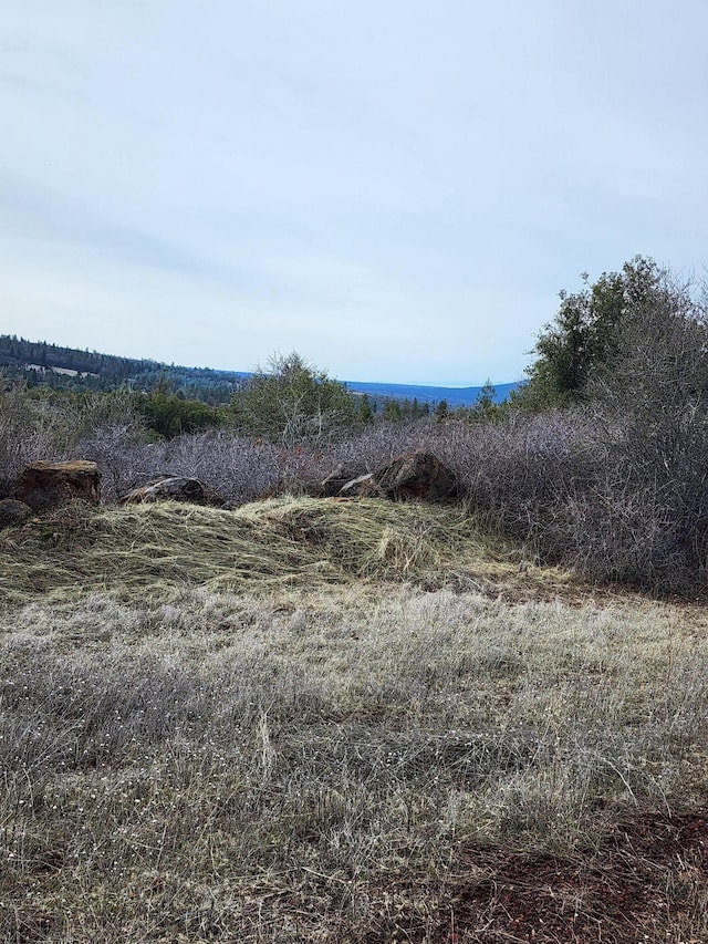 LOT01 Woodcutters Way, Manton, CA 96059