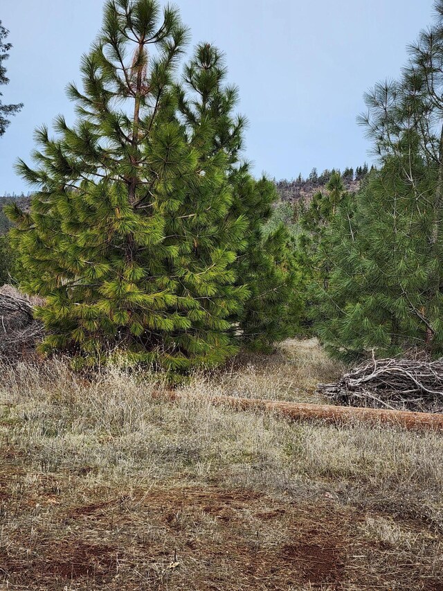 LOT01 Woodcutters Way, Manton, CA 96059