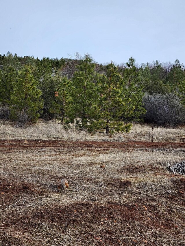 LOT01 Woodcutters Way, Manton, CA 96059
