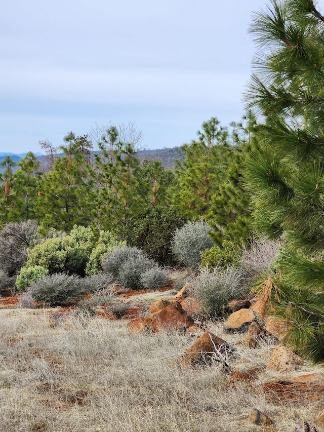 LOT01 Woodcutters Way, Manton, CA 96059