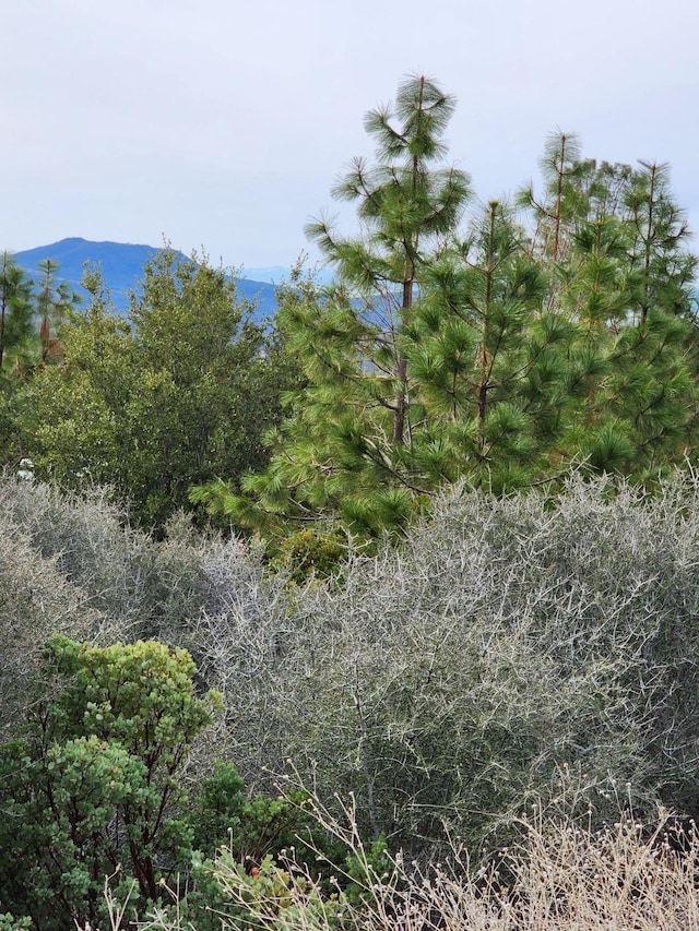 LOT01 Woodcutters Way, Manton, CA 96059