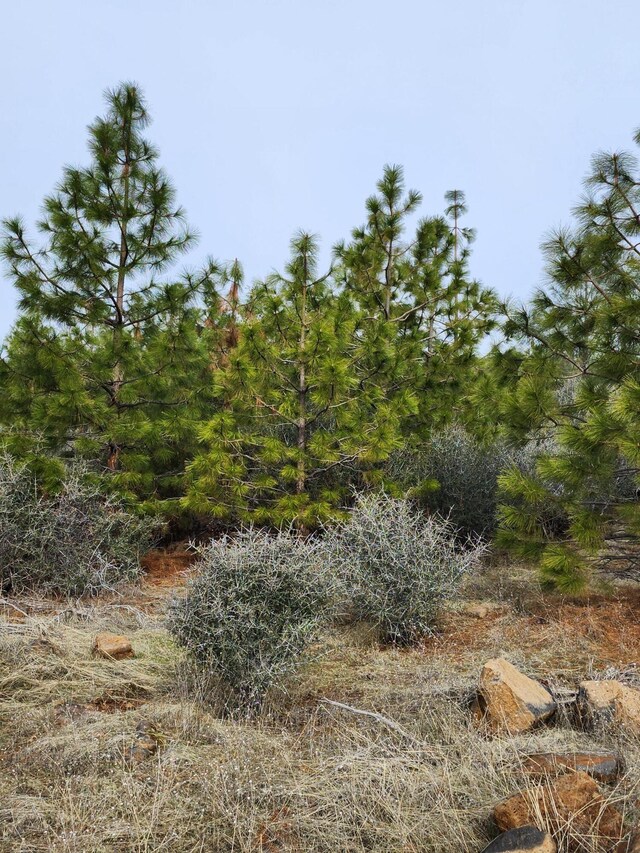 LOT01 Woodcutters Way, Manton, CA 96059