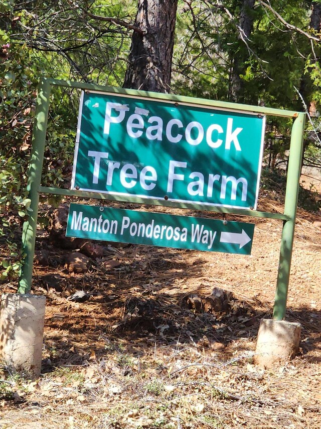 LOT01 Woodcutters Way, Manton, CA 96059