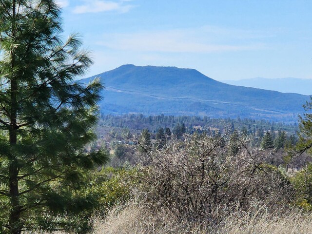 LOT01 Woodcutters Way, Manton, CA 96059