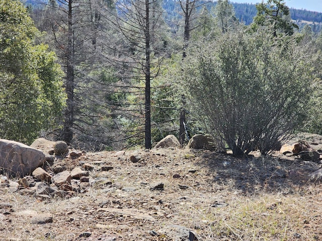 LOT01 Woodcutters Way, Manton, CA 96059