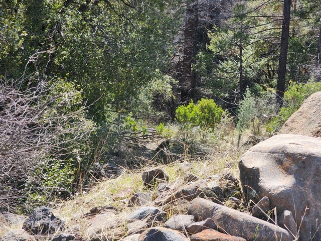 LOT01 Woodcutters Way, Manton, CA 96059