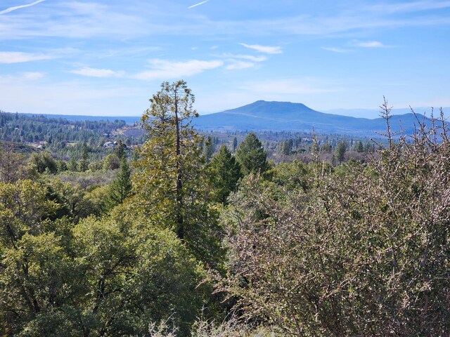 LOT01 Woodcutters Way, Manton, CA 96059