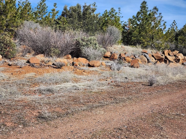 LOT01 Woodcutters Way, Manton, CA 96059