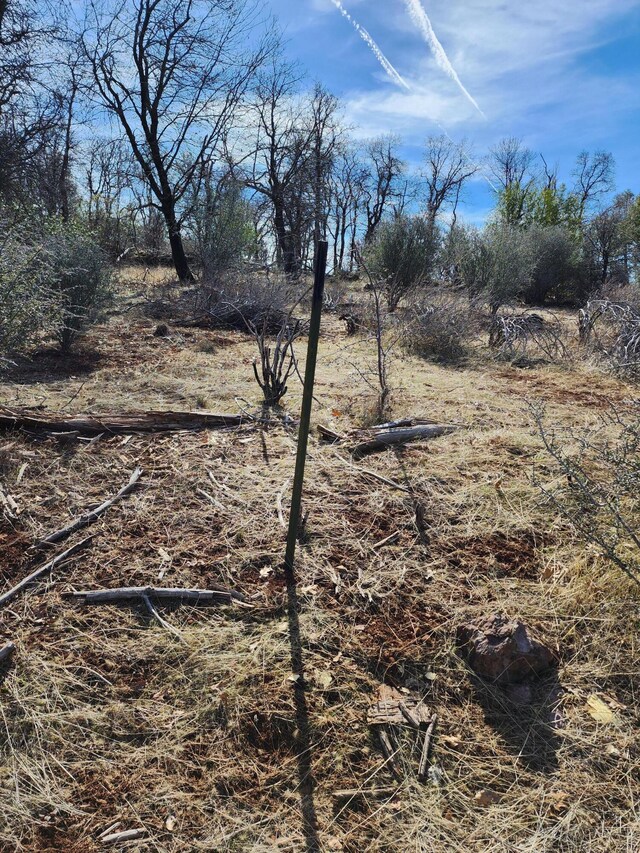LOT01 Woodcutters Way, Manton, CA 96059