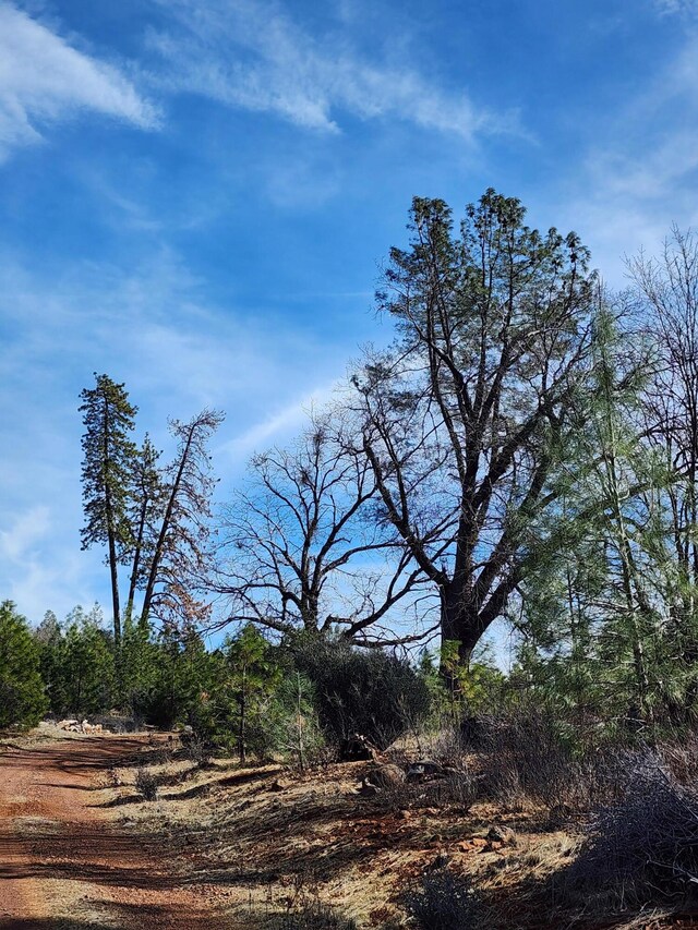 LOT01 Woodcutters Way, Manton, CA 96059