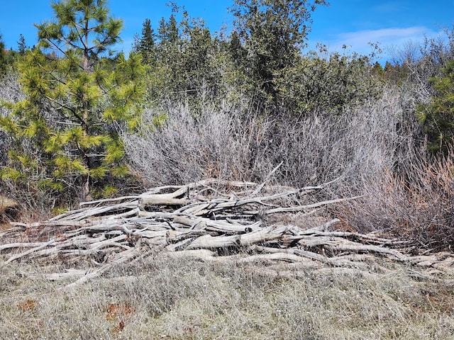 LOT01 Woodcutters Way, Manton, CA 96059
