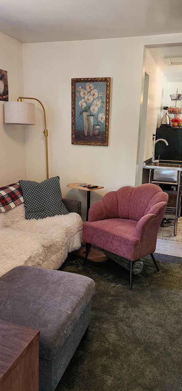 7670 Cedar Crest Rd, Shingletown, CA 96088 - carpeted living area featuring a sink