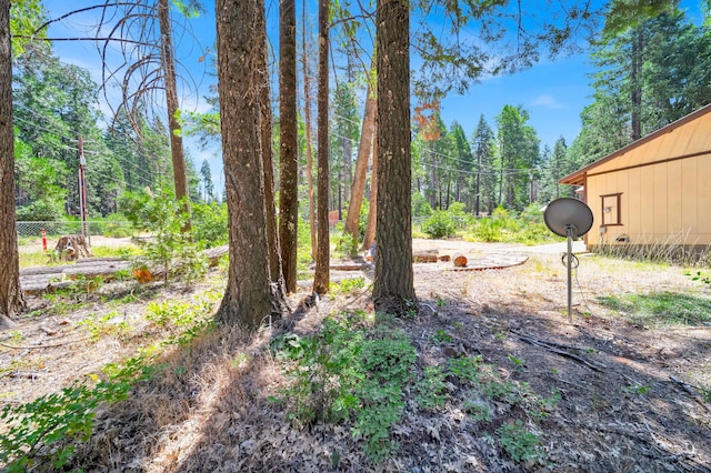 7670 Cedar Crest Rd, Shingletown, CA 96088 - photo 53