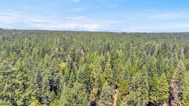 7670 Cedar Crest Rd, Shingletown, CA 96088 - photo 58