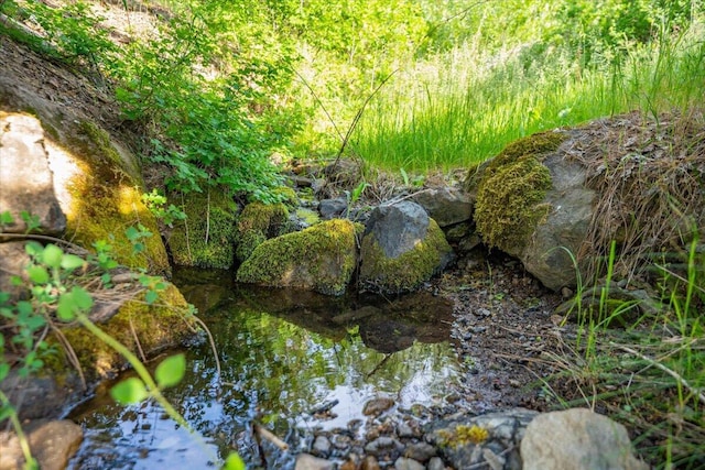 12876 E Fork Rd, French Gulch, CA 96033 - view of undeveloped land