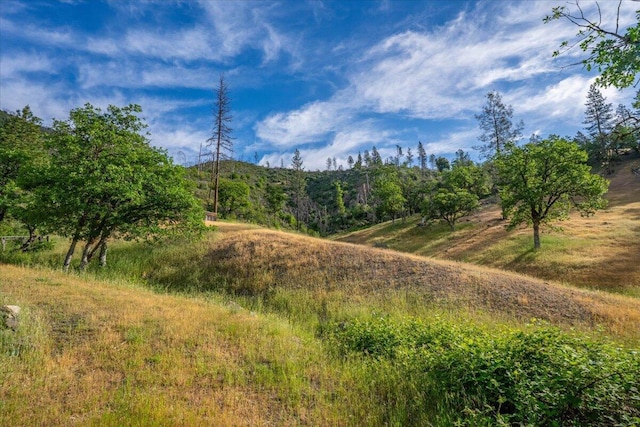 12876 E Fork Rd, French Gulch, CA 96033 - view of local wilderness