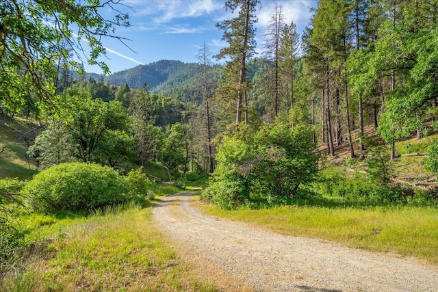 12876 E Fork Rd, French Gulch, CA 96033 - view of street featuring a mountain view and a view of trees