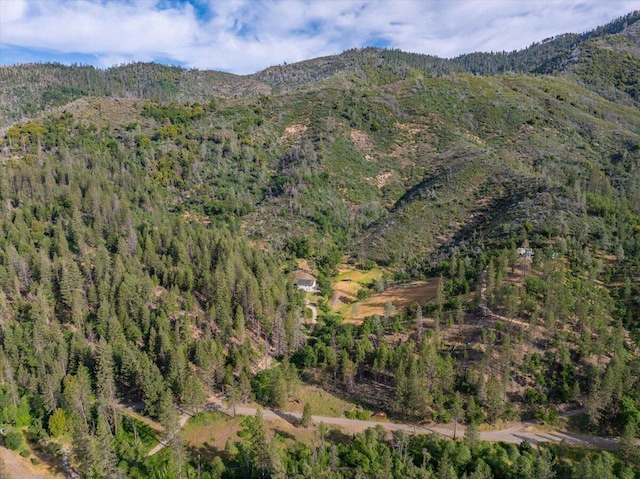 12876 E Fork Rd, French Gulch, CA 96033 - view of mountain backdrop with a forest