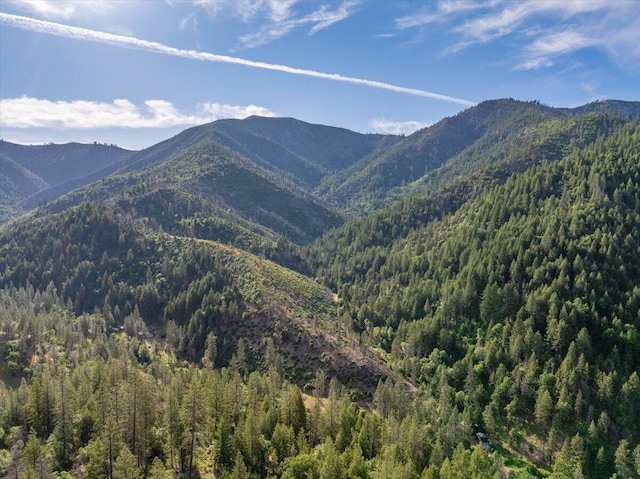12876 E Fork Rd, French Gulch, CA 96033 - view of mountain background with a forest