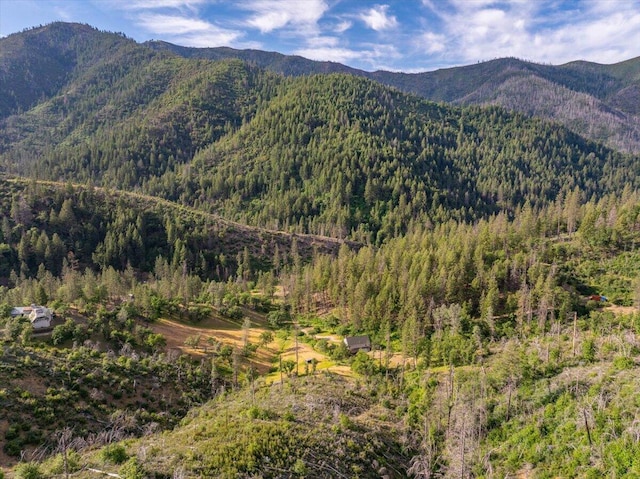 12876 E Fork Rd, French Gulch, CA 96033 - view of mountain background with a forest