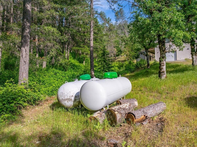 12876 E Fork Rd, French Gulch, CA 96033 - exterior view of propane tank