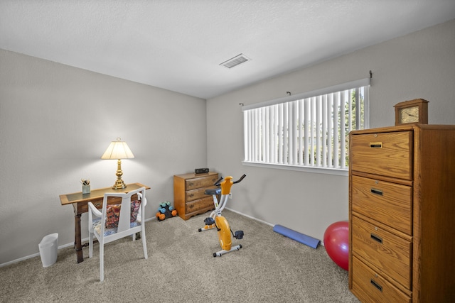 200 Ridgetop Dr # 26, Redding, CA 96003 - exercise area with carpet and baseboards